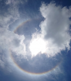 ハロ